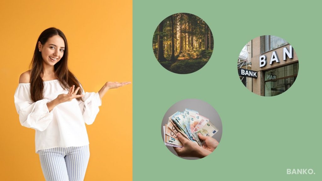 Miten metsälainaa haetaan